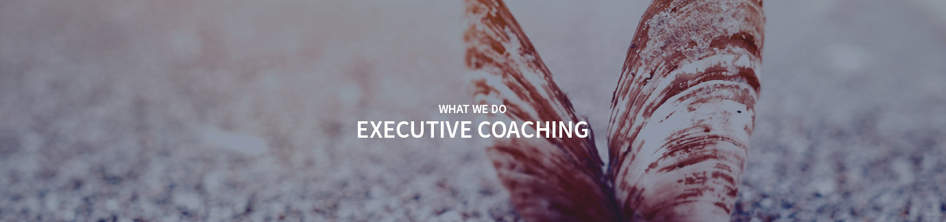 Executive Coaching