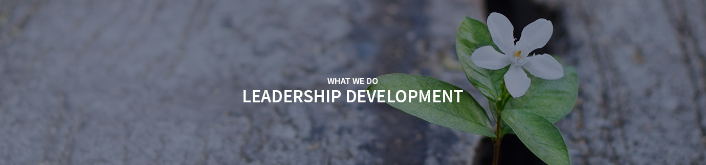 Leadership Development