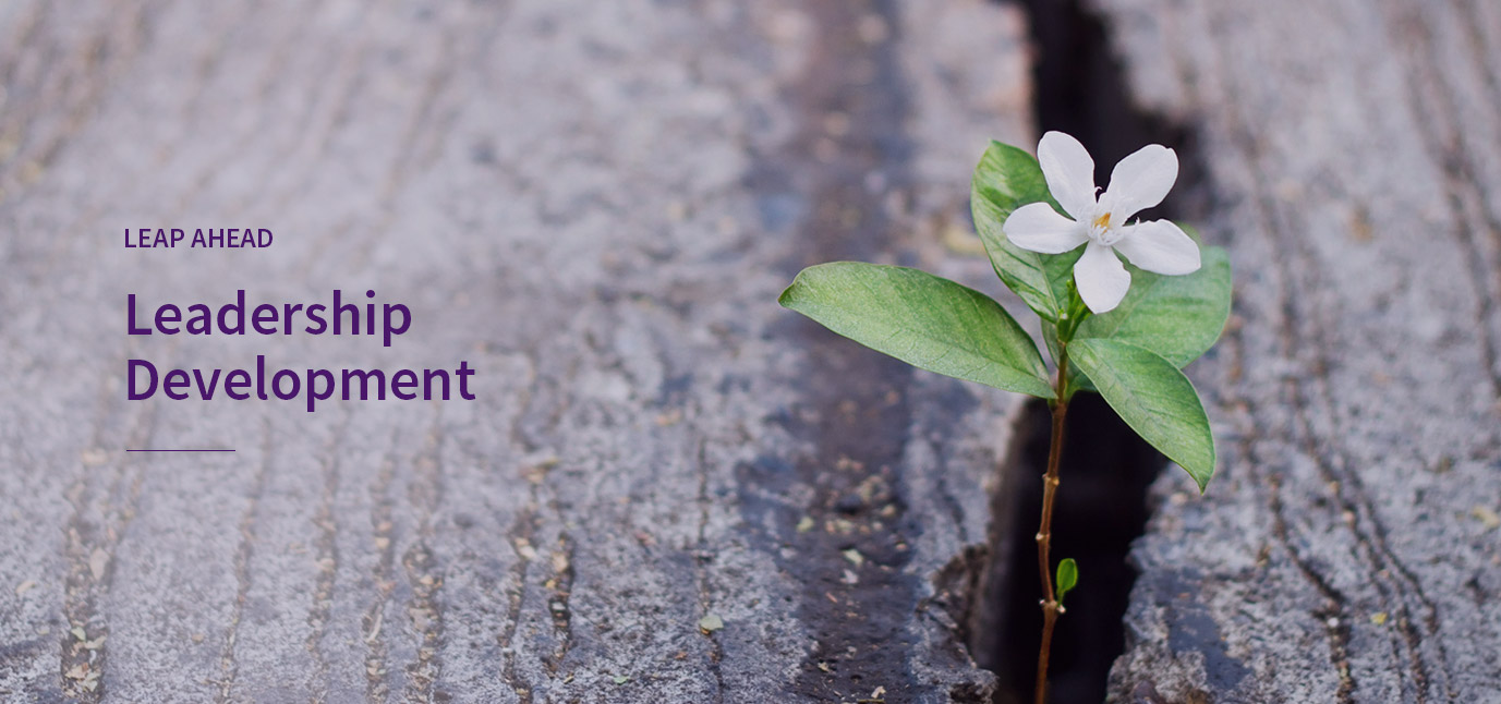Leadership Development